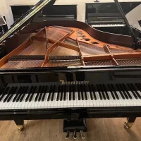 Gebruikte, Bosendorfer, 200