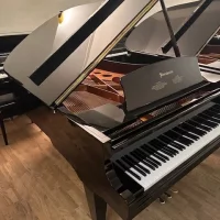 Usado, Bosendorfer, 200