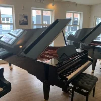 Usato, Bosendorfer, 275