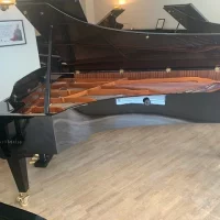 Usado, Bosendorfer, 275