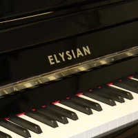 Used, Elysian, 122