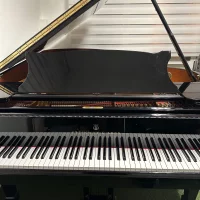 Occasion, Steinway & Sons, B-211