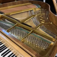 Used, Steinway & Sons, S-155