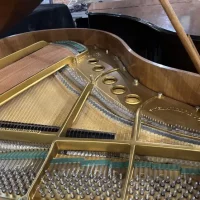 Används, Steinway & Sons, S-155