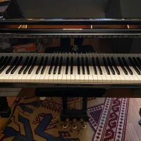 Usato, Steinway & Sons, A-188