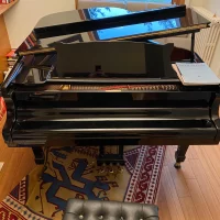 Używany, Steinway & Sons, A-188