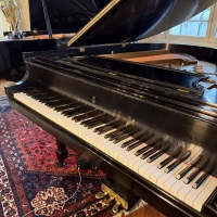 Occasion, Steinway & Sons, M-170