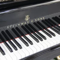 Usado, Steinway & Sons, D-274