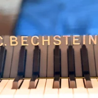 Används, C. Bechstein, A 208 (B 208)