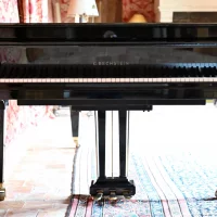 Används, C. Bechstein, A 208 (B 208)