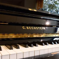 Usado, C. Bechstein, Concert 8