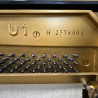 Used, Yamaha, U1H