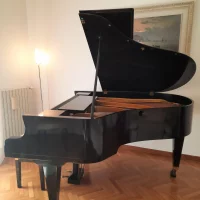 Used, Bosendorfer, 170