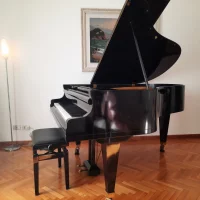 Used, Bosendorfer, 170