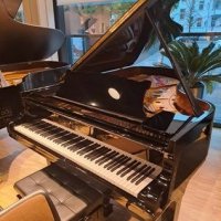 Används, Steinway & Sons, B-211