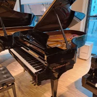 Neufs, Steinway & Sons, B-211