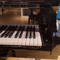 Neufs, Steinway & Sons, B-211