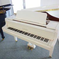 Nieuw, Kawai, GL-10