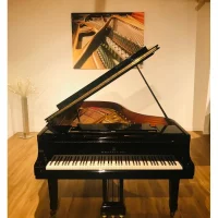 Used, Steinway & Sons, B-211