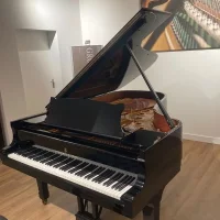 Gebruikte, Steinway & Sons, B-211