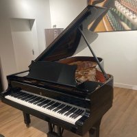 Används, Steinway & Sons, B-211