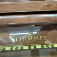 Gebruikte, Schimmel, 112 Chippendale