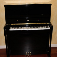 Occasion, Schimmel, K 122 Elegance