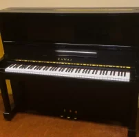 Nieuw, Kawai, BL-12