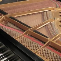 Usado, Steinway & Sons, S-155