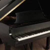 Usado, Steinway & Sons, S-155