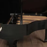 Används, Steinway & Sons, S-155