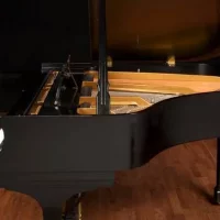 Usado, Steinway & Sons, S-155