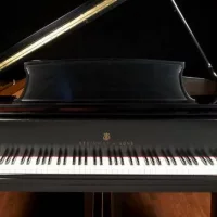 Usado, Steinway & Sons, S-155