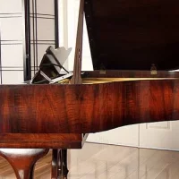 Används, Steinway & Sons, S-155