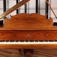 Används, Steinway & Sons, S-155