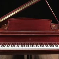 Używany, Steinway & Sons, M-170