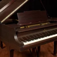 Används, Steinway & Sons, M-170