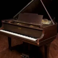 Används, Steinway & Sons, M-170