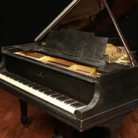 Używany, Steinway & Sons, M-170