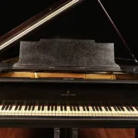 Används, Steinway & Sons, M-170