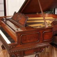 Används, Steinway & Sons, M-170