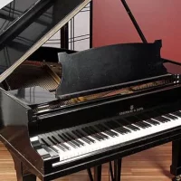 Używany, Steinway & Sons, M-170