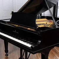 Używany, Steinway & Sons, M-170