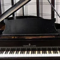 Używany, Steinway & Sons, M-170