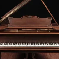 Används, Steinway & Sons, M-170