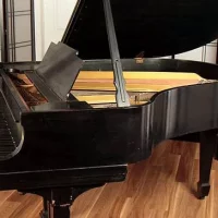 Används, Steinway & Sons, M-170