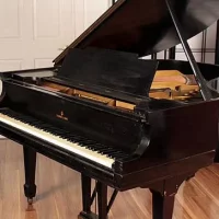 Används, Steinway & Sons, M-170