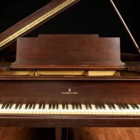 Gebruikte, Steinway & Sons, M-170