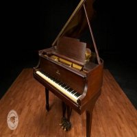 Används, Steinway & Sons, M-170