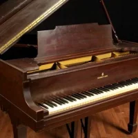 Używany, Steinway & Sons, M-170